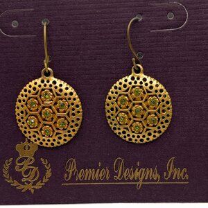 BAMBOO Premier Designs earrings